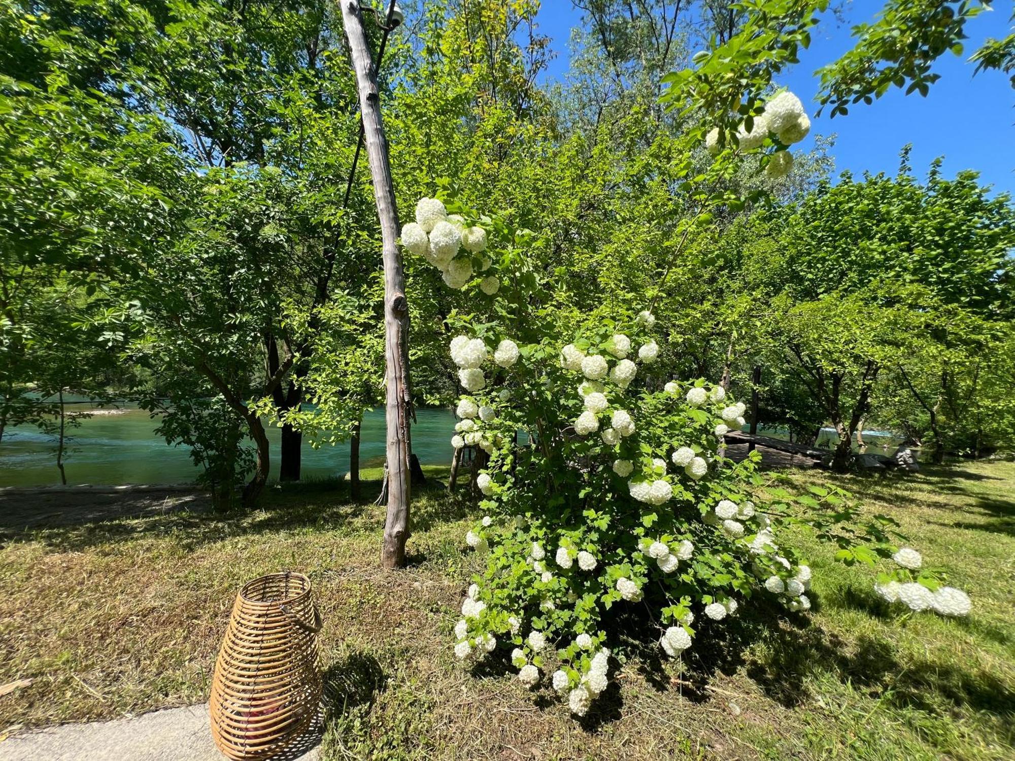 Anur Apartment Bihać 외부 사진