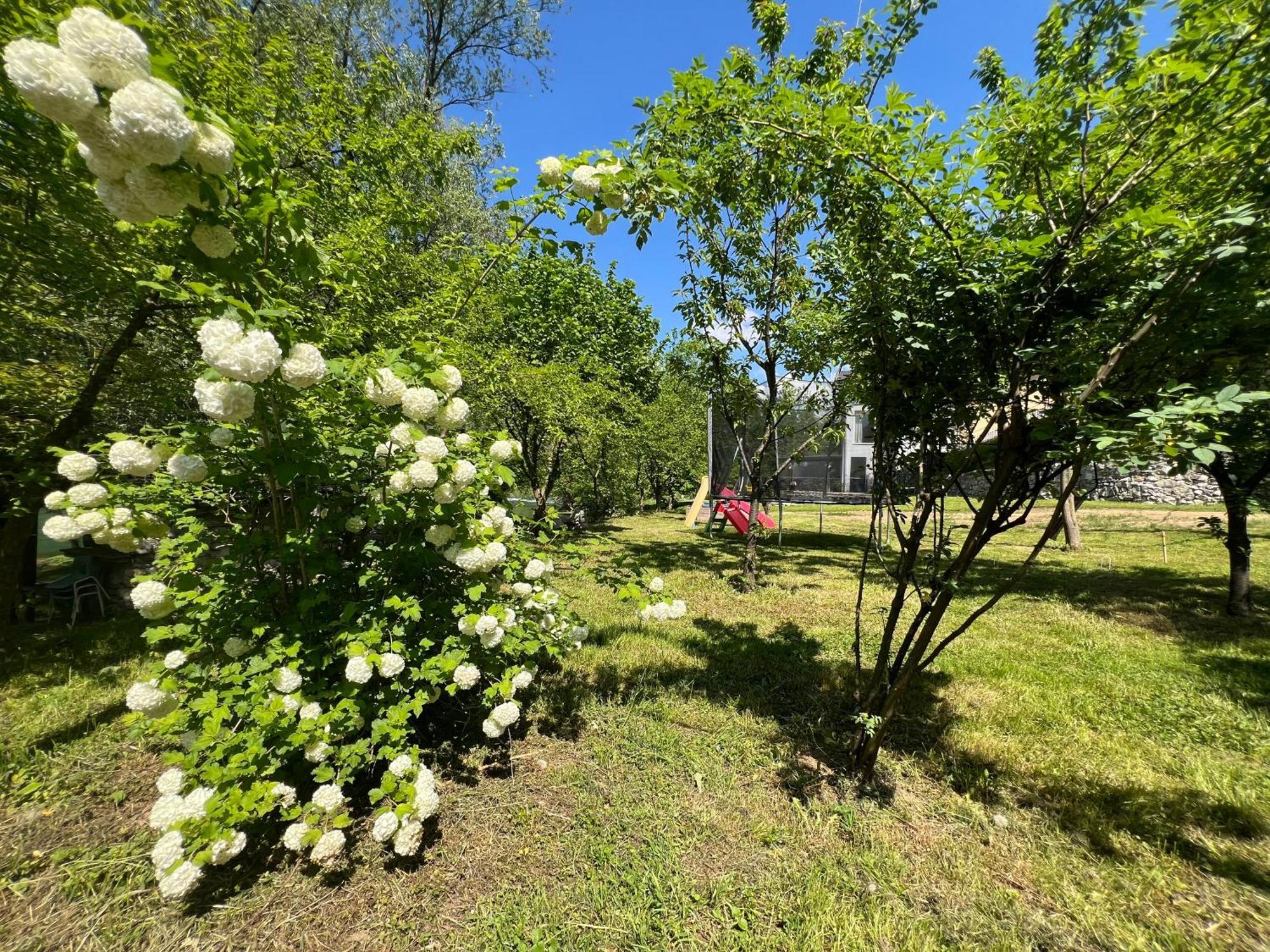 Anur Apartment Bihać 외부 사진